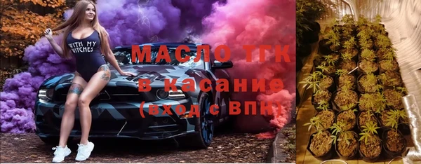 индика Приозерск